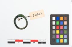 Foto von Bronzering (NHMW-PRAE-025743)